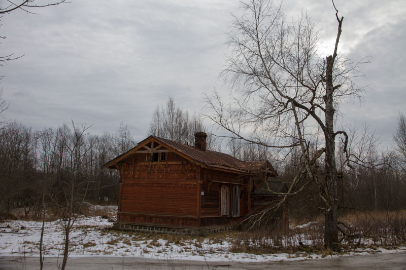 A_8195.jpg