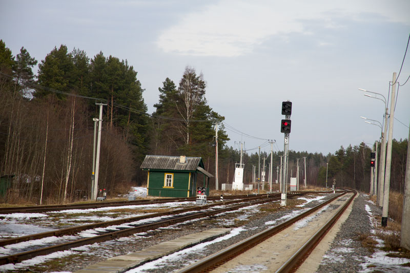 A_8225.jpg