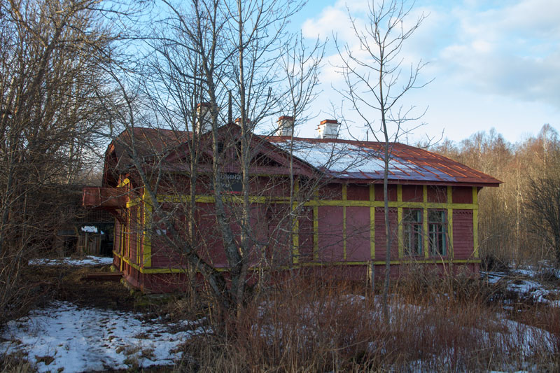 A_8256.jpg