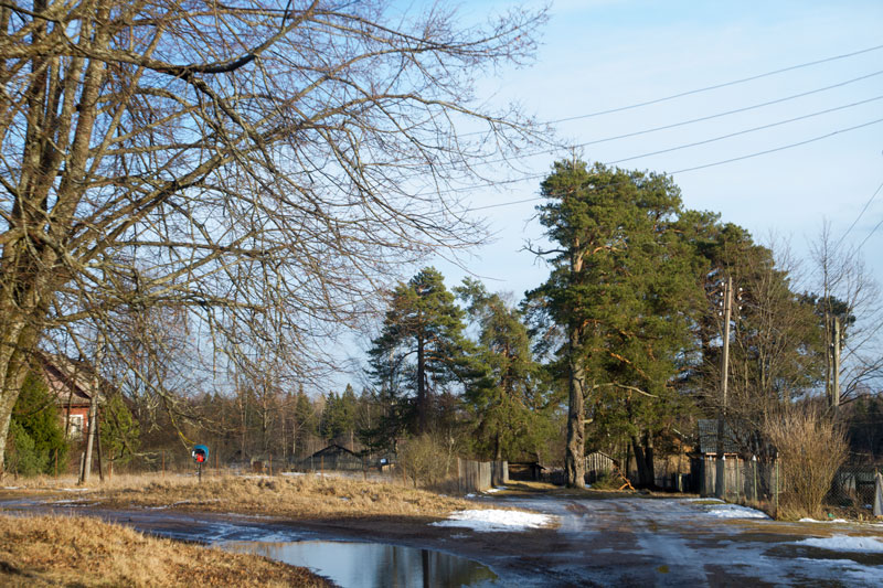 A_8260.jpg