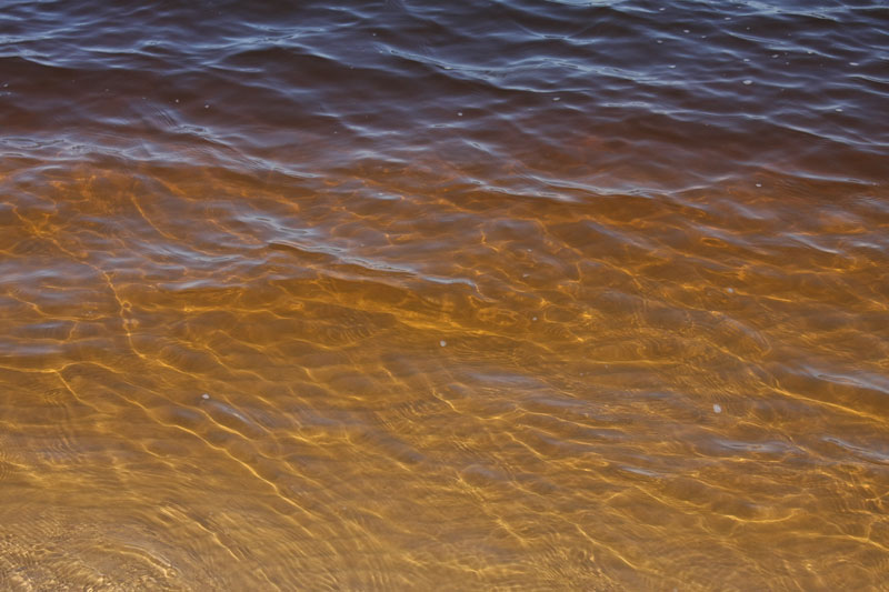 a_8507.jpg