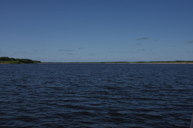 a_8515.jpg