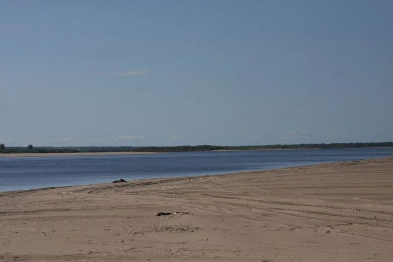 a_8556.webp