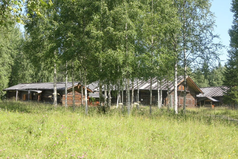 a_8739.jpg