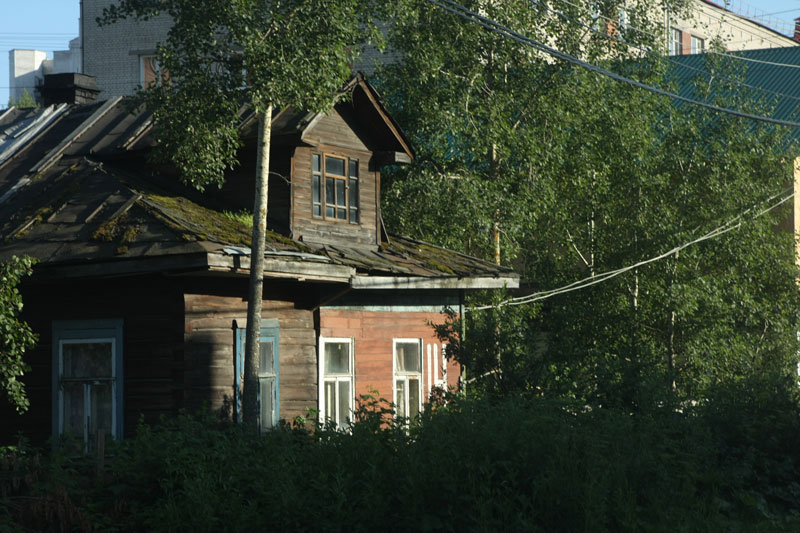 a_8799.jpg