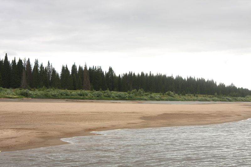 a_9331.jpg