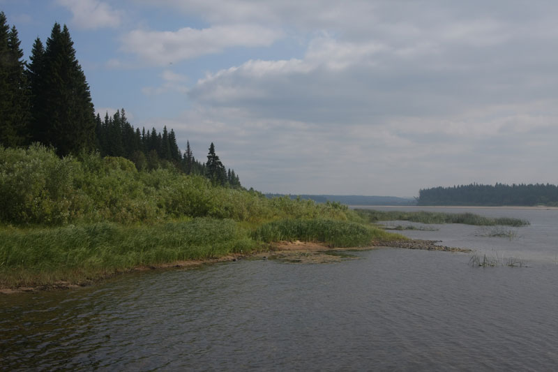 a_9511.jpg