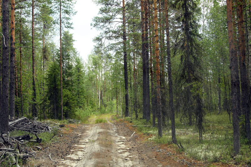 a_9561.jpg