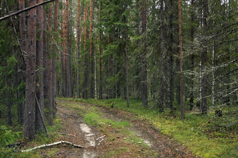a_9646.jpg