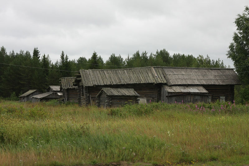 a_9738.jpg