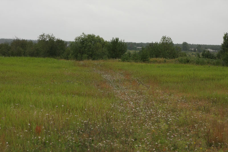 a_9743.jpg