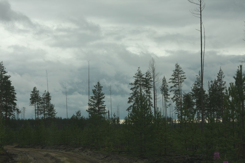 a_9745.jpg