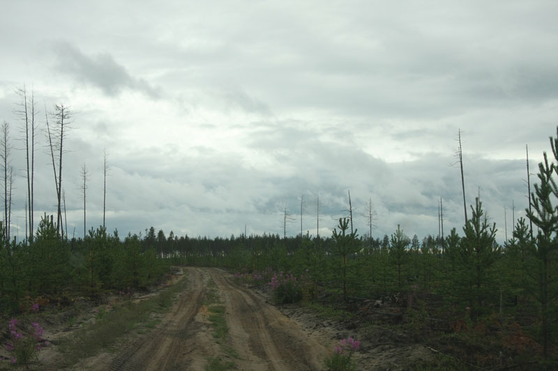 a_9746.jpg