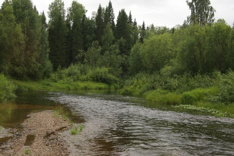 a_9755.jpg