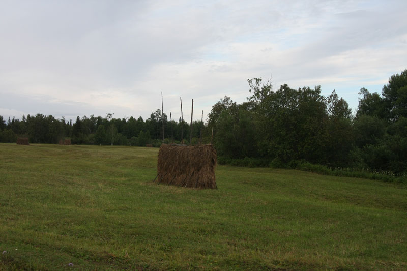 a_9771.jpg