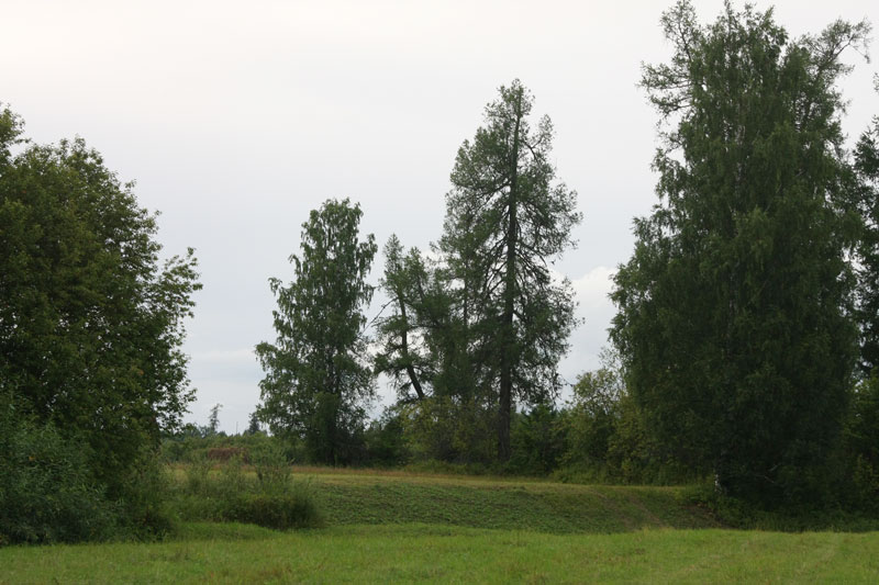 a_9777.jpg