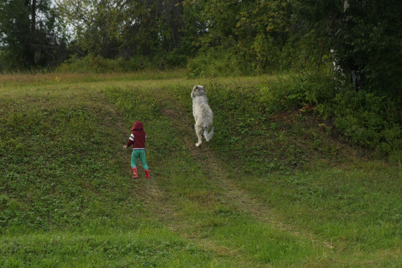 a_9786.jpg