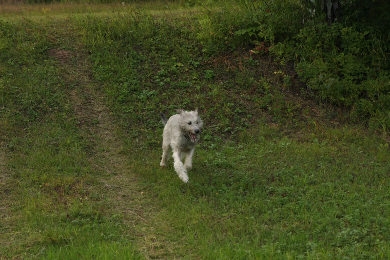 a_9787.jpg