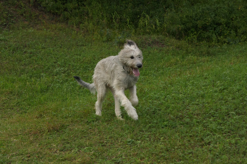 a_9788.jpg