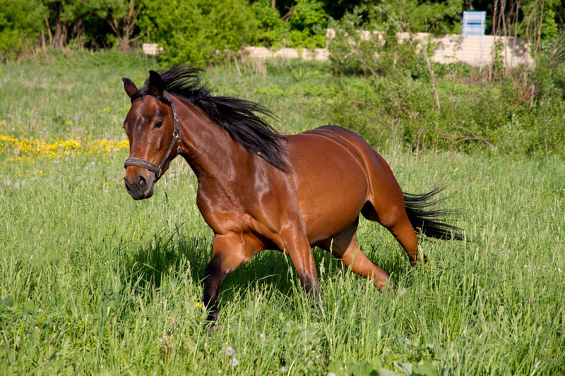 AA_2316.jpg