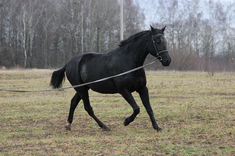 AA_4654.jpg