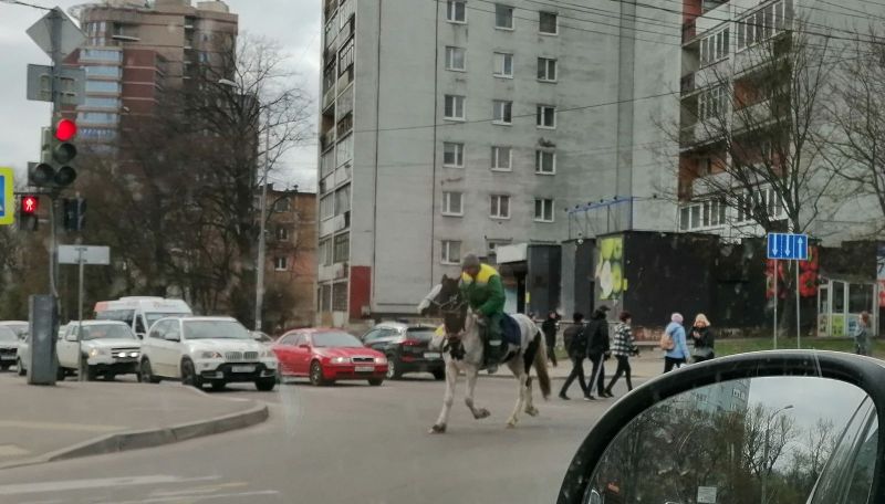 ааааааааааа.jpg