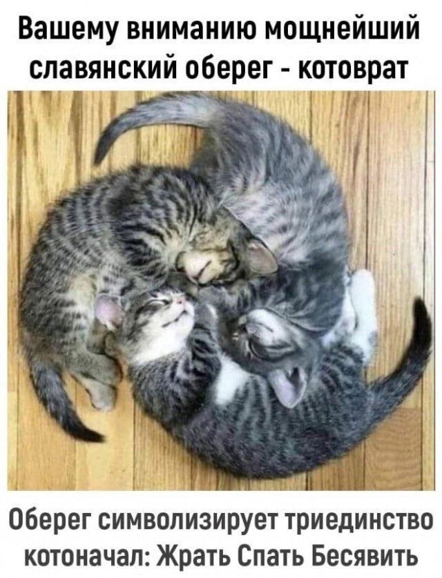 AACAOJURQKw.jpg
