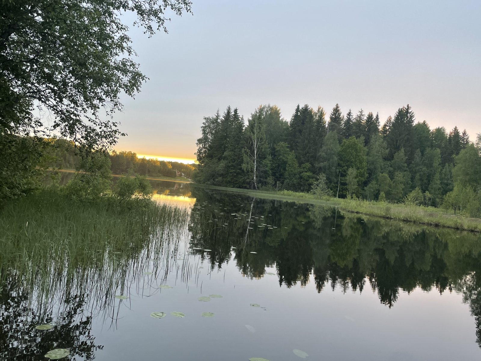 AD86B769-F864-441D-8976-85DED475CE91.jpeg