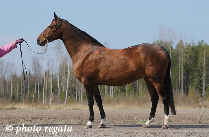 Aigul-spine1.jpg