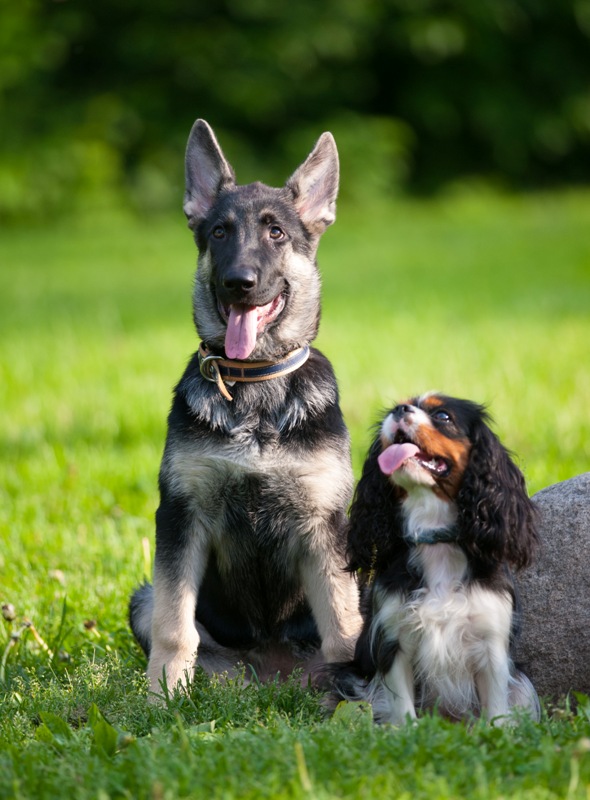 Айра и Уля2.jpg