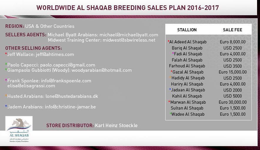 Al Shaqab breedings.jpg