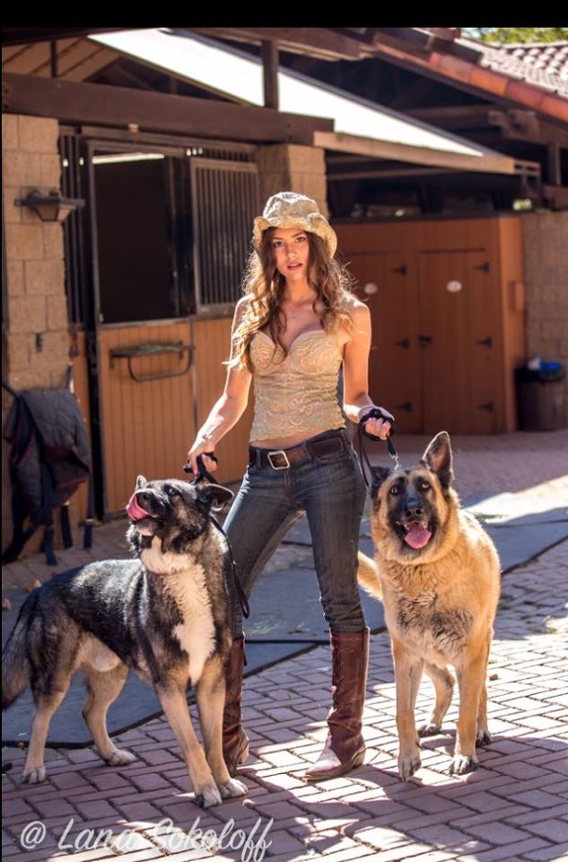 Alla dogs.jpg