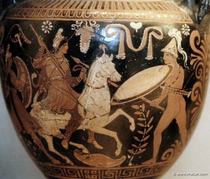 Amazons5113-1-.jpg