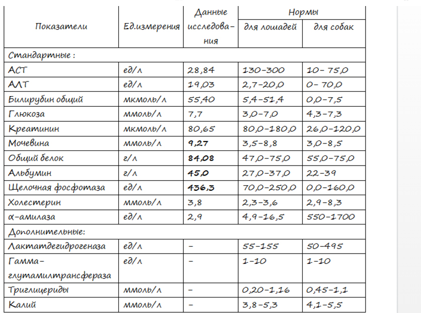 Анализ.jpg