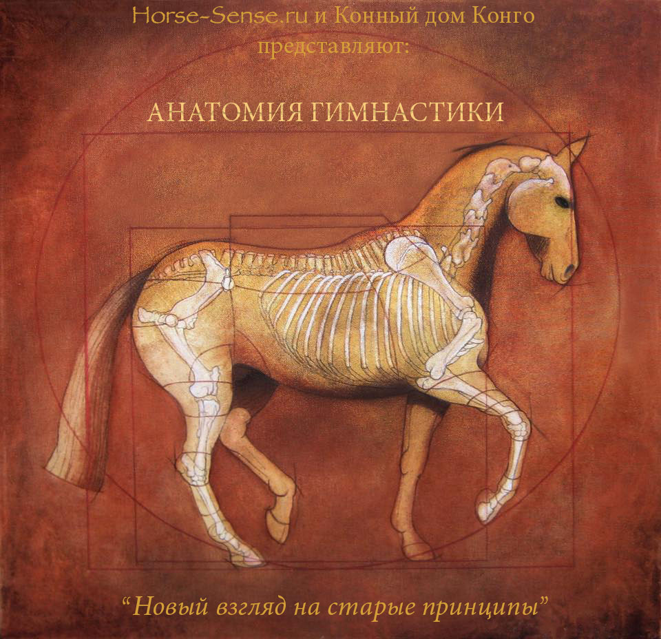 анат_гим_4.jpg