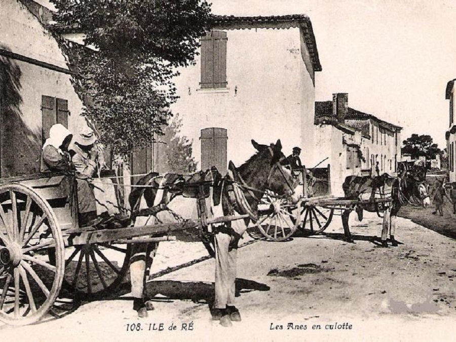 Anes-en-culottes-Ile-de-Re-Hotel-La-Maree.jpg