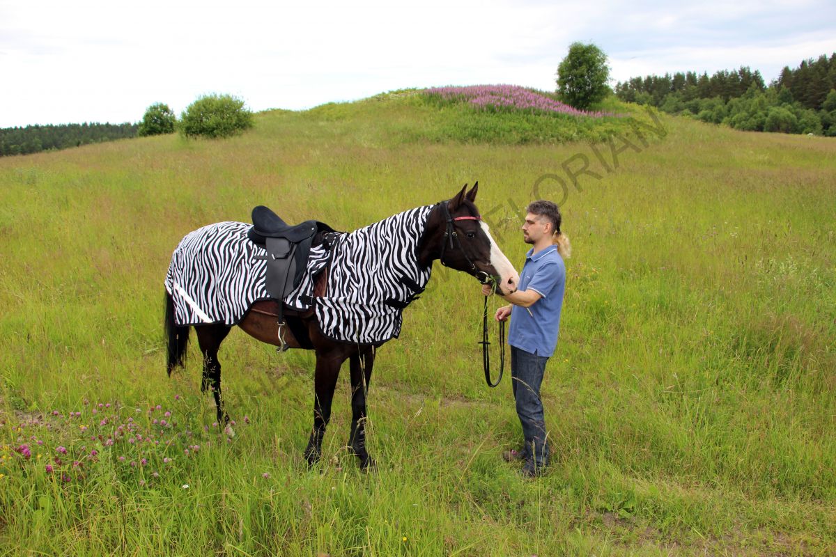 antimoskitnaya-popona-pod-sedlo-quot-horse-comfort-quot-s-kaporom.jpg