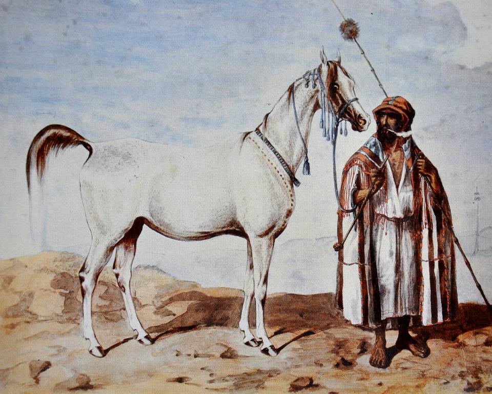 Arabian mare Mlecha (1845).jpg