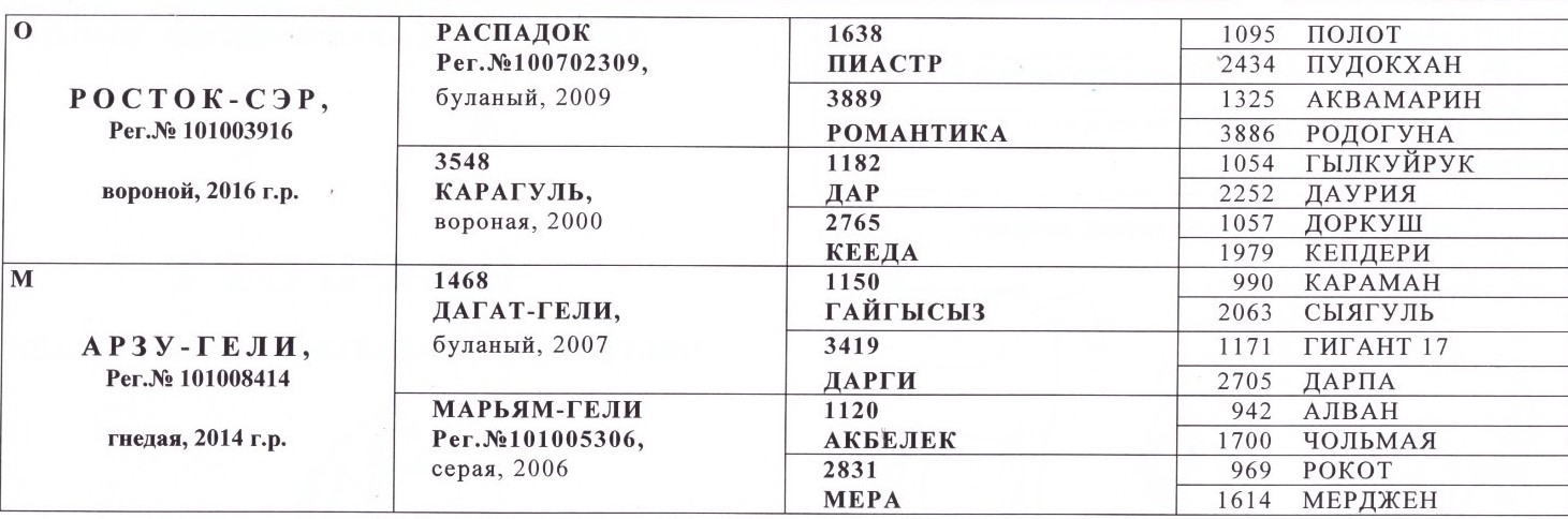 АРГУЛЬ 3.jpg