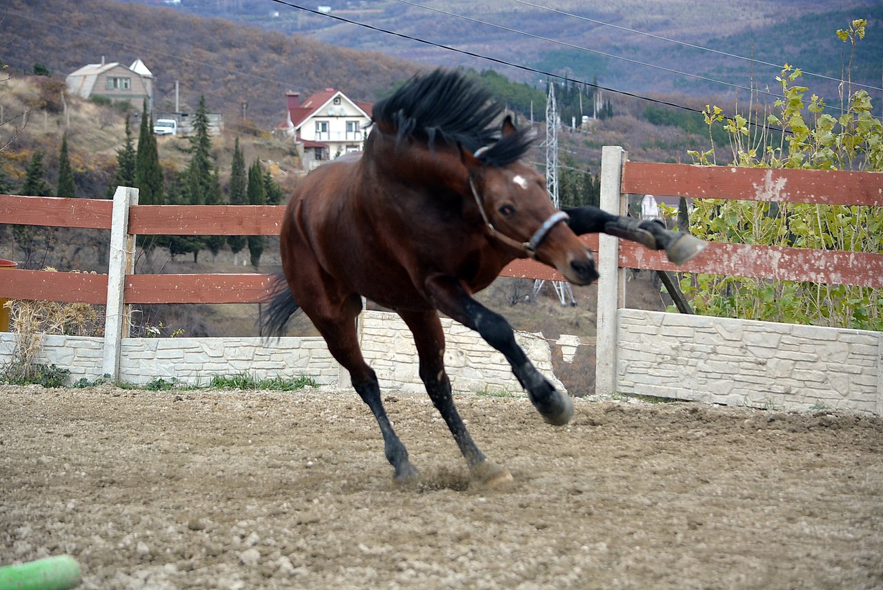 auAG-iort28.jpg