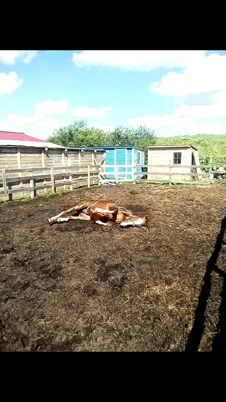август33.jpg