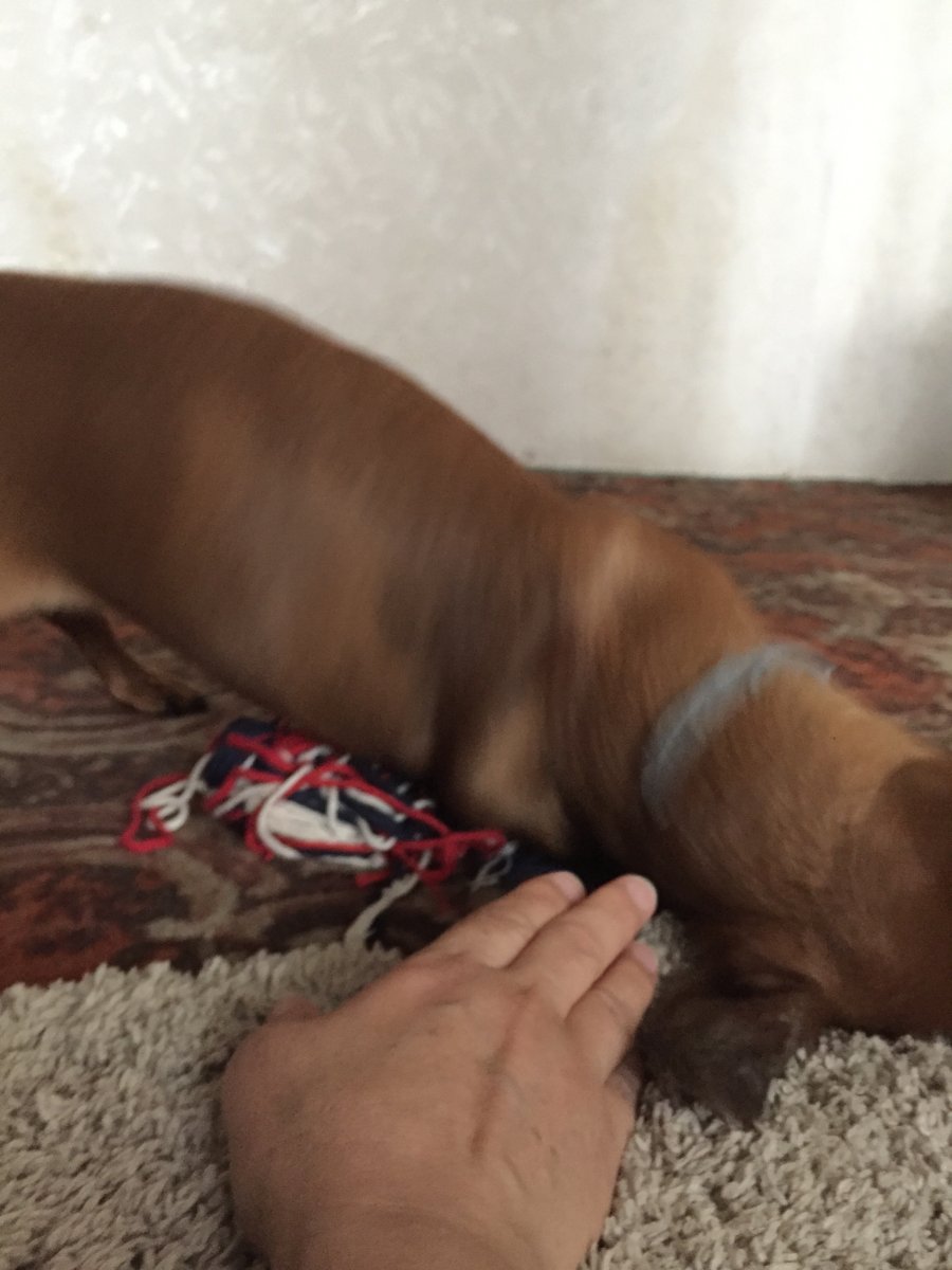 B11C24F4-5306-4AA8-B425-3975856D5CAD.jpeg