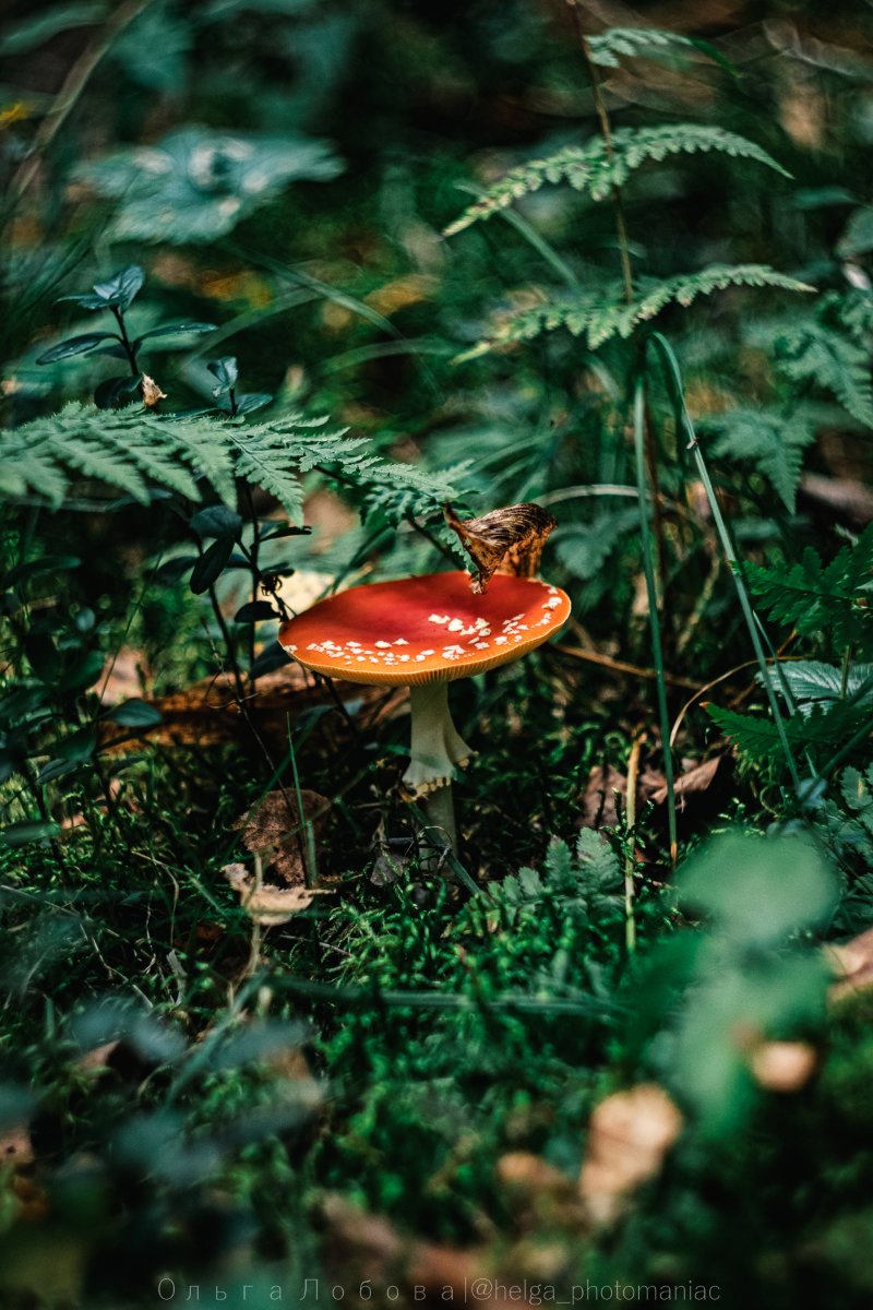 b6xkZkv6gSuU0_CYlN2c0s91R4B-KrEbGPnjN4LDlVKgFkFUHho0l_Mr_pdL_l_nOjKj9nIHHTCCvVIrPlYWG6fj.jpg