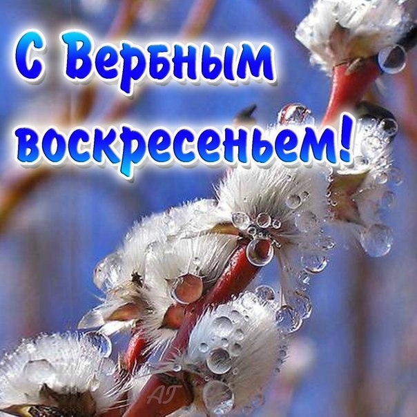 b72c0891-3577-4fa3-aa73-c7d84f4cca62.jpg