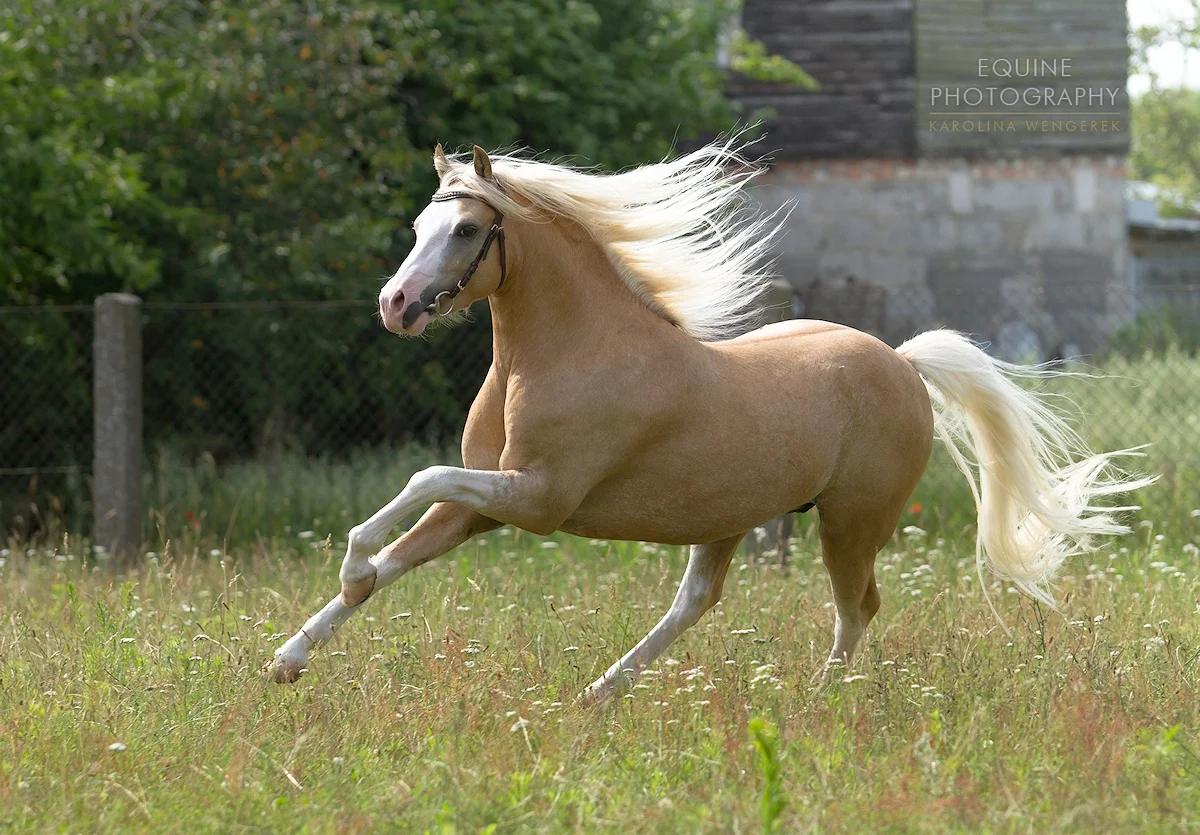 BE0A5663-59D2-4D85-99ED-CB5A3F19B9D3.webp