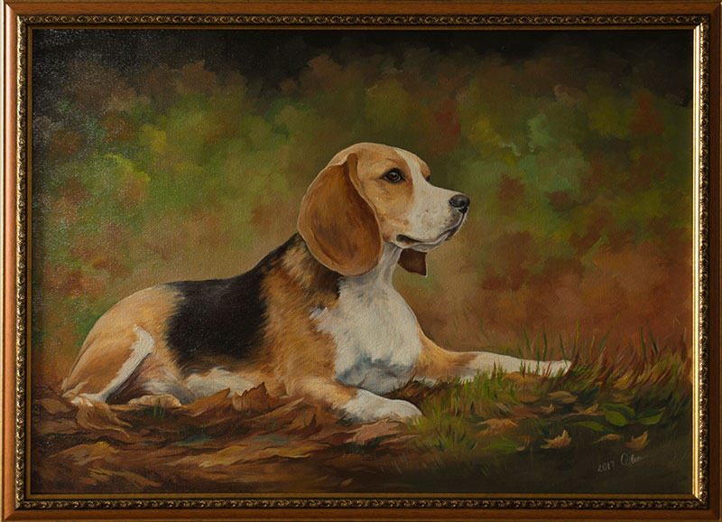 Beagle-1.jpg