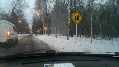 белочка.jpg