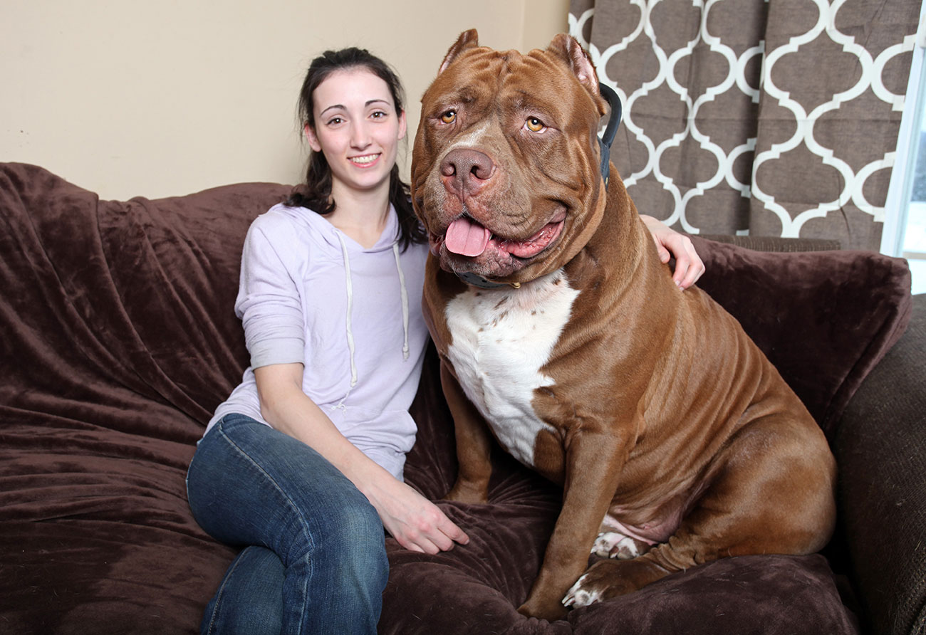 bigdog14.jpg