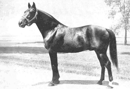 Bill Gallon (US) 1938 г.р.jpg