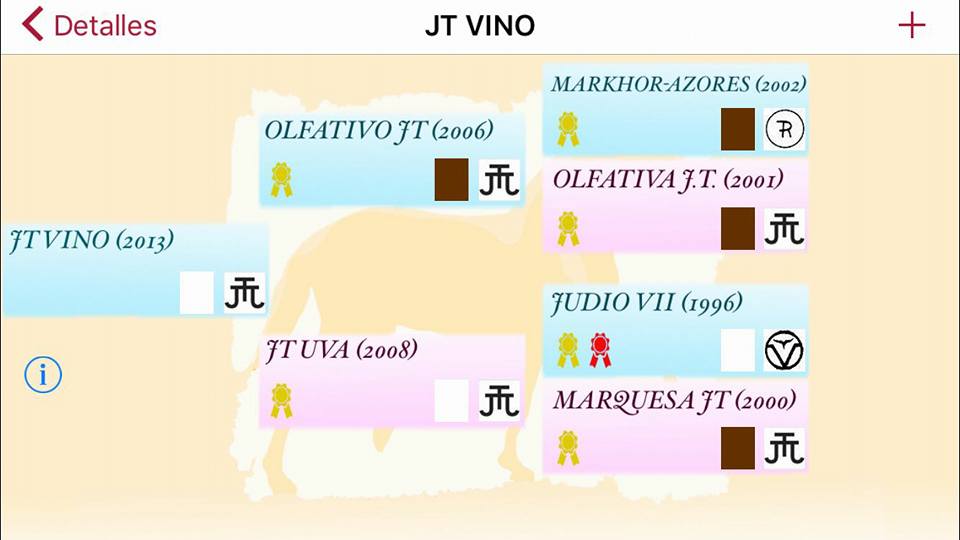 бино9.jpg